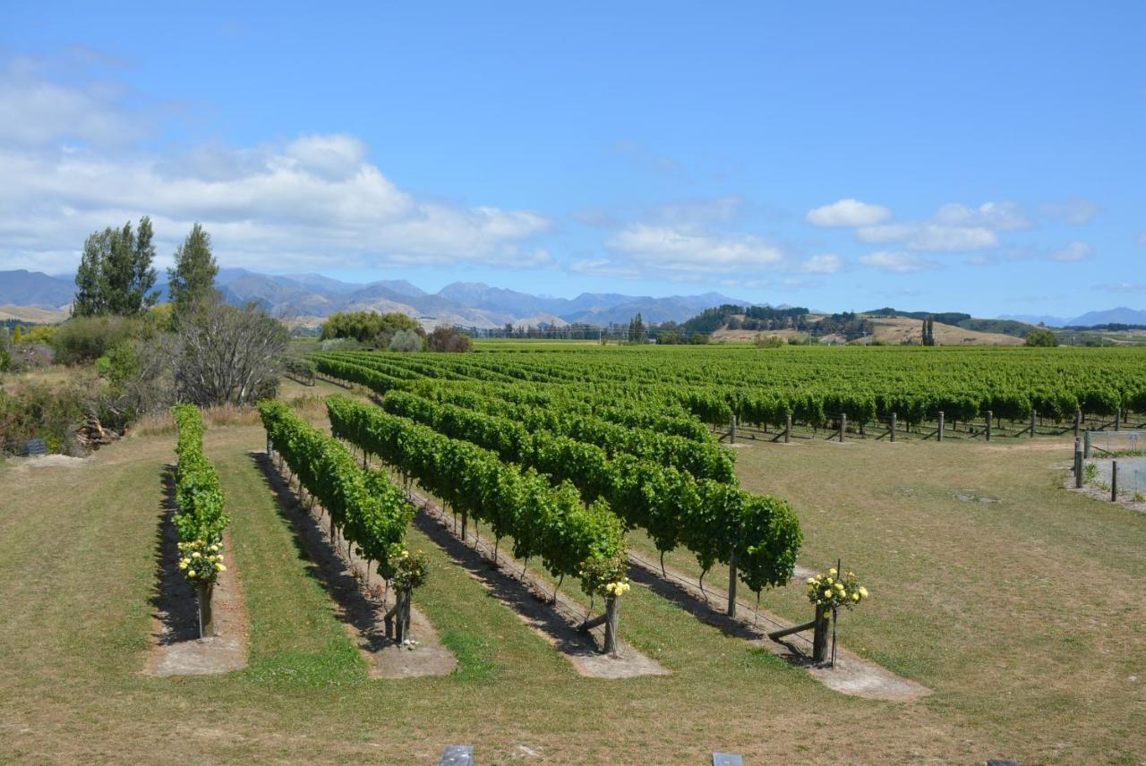 Ddog Vineyard & Bnb Renwick Exteriör bild