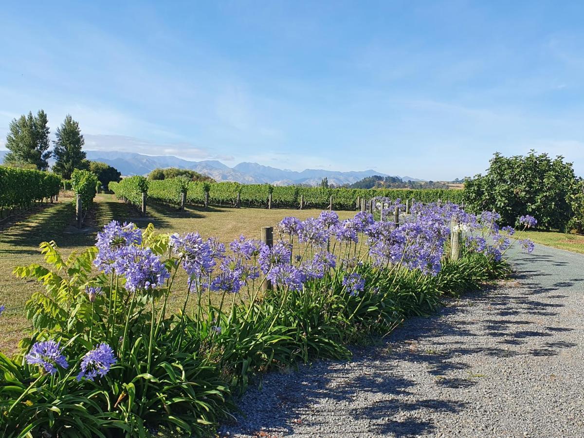 Ddog Vineyard & Bnb Renwick Exteriör bild