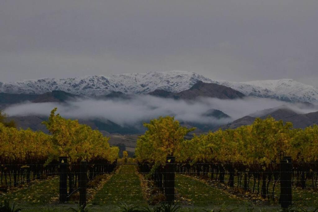 Ddog Vineyard & Bnb Renwick Exteriör bild